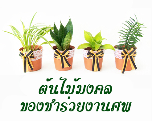 ของชำร่วยงานศพ